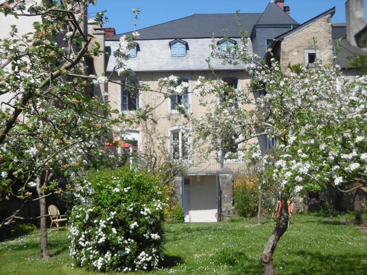 La Suite Du Peintre Oloron-Sainte-Marie Eksteriør billede